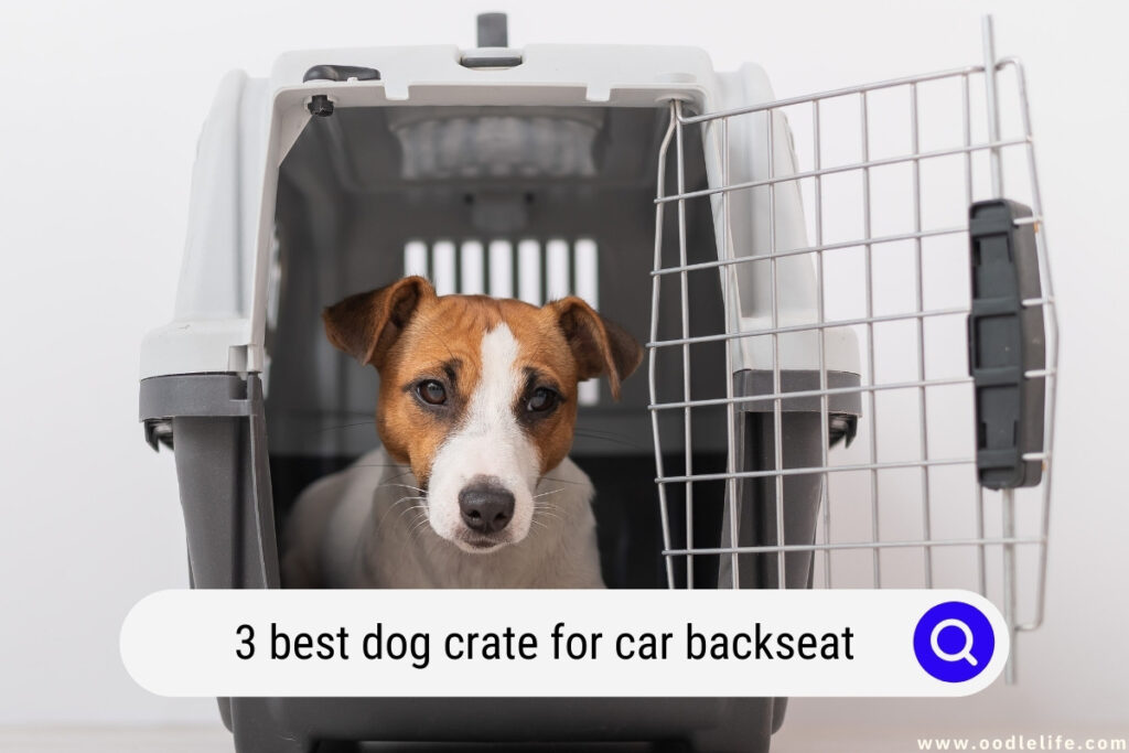 dog crate for car backseat