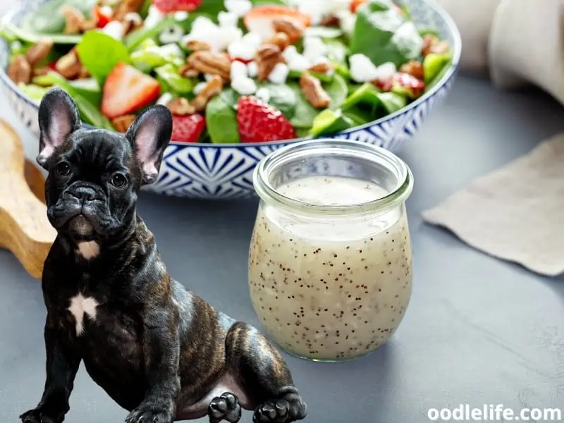 dog eats dressing