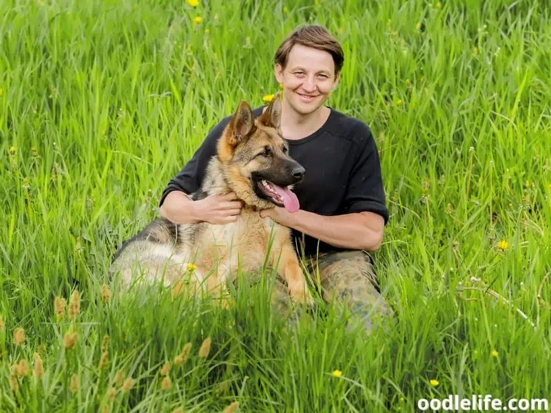 German Shepherd with owner