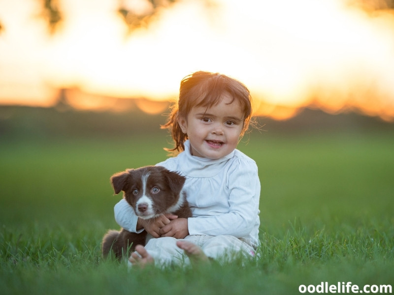 girl and a puppy