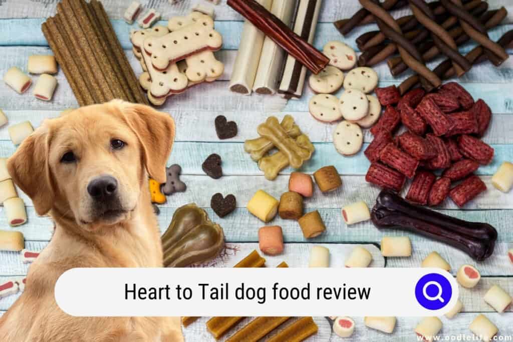 heart to tail dog food review