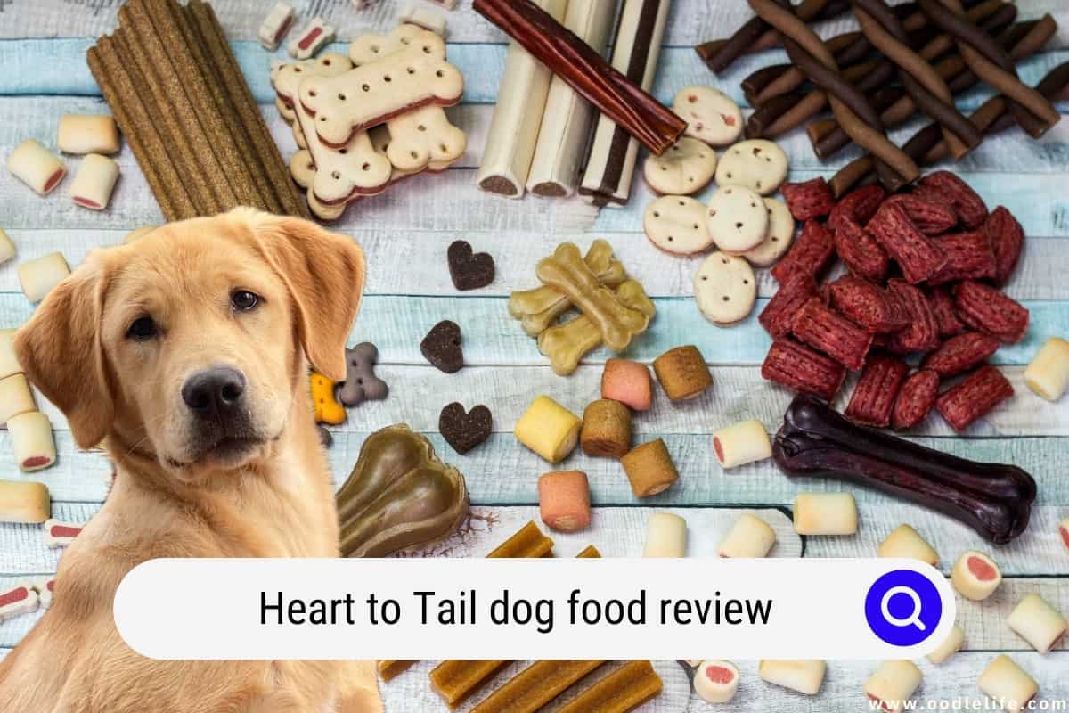 Heart To Tail Dog Food Review (2022 Products) - Oodle Life