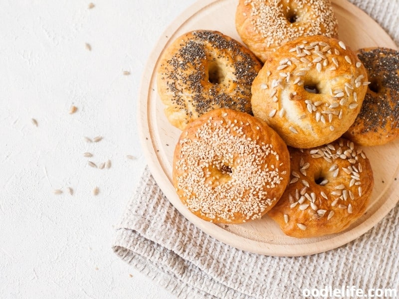 Find Out If Can Dogs Eat Poppy Seeds.