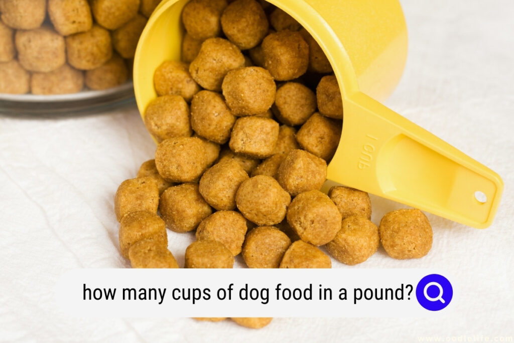 how many cups of dog food in a pound