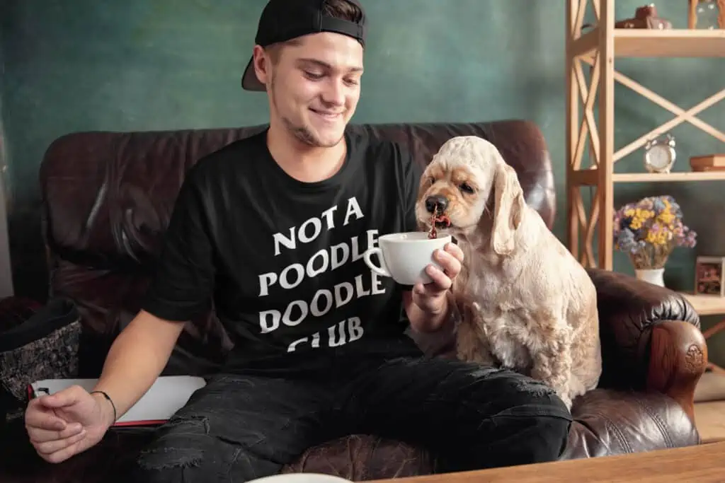 a doodle dog steals some coffee from his owner