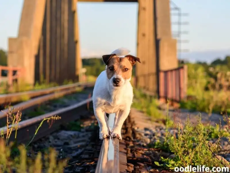 rail balance