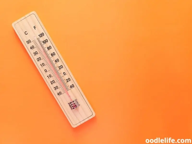 thermometer