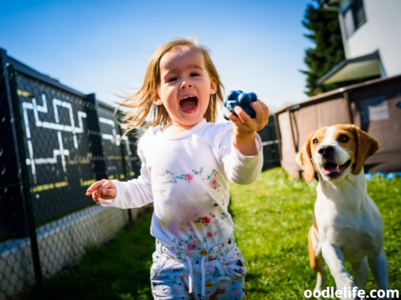 toddler running away with a Beagle