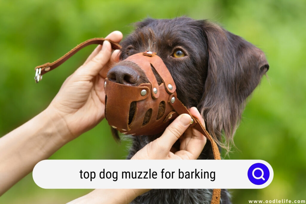 top dog muzzle for barking