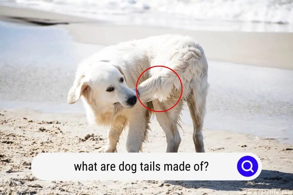 what are dog tails made of