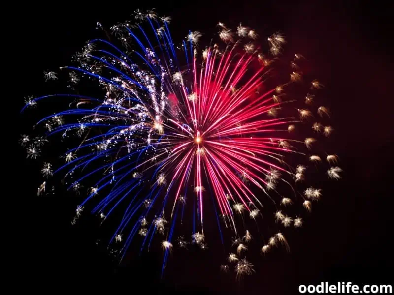 blue and red fireworks