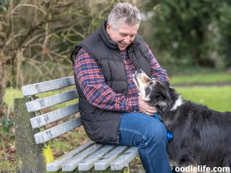 Border Collie and owner