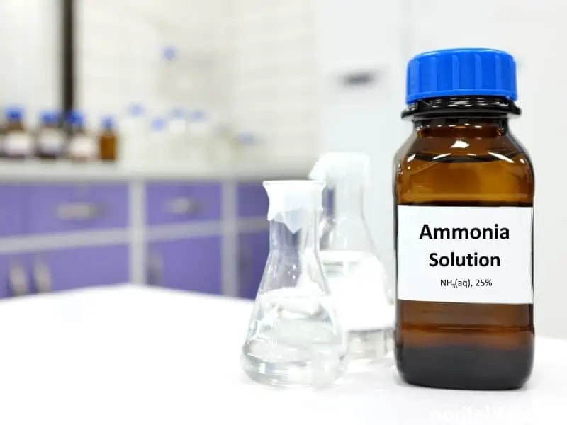 bottle of ammonia solution