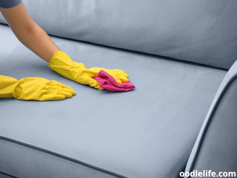 How To Get Dog Smell Out Of Couch? Oodle Life