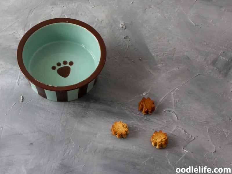 cookie and dog bowl