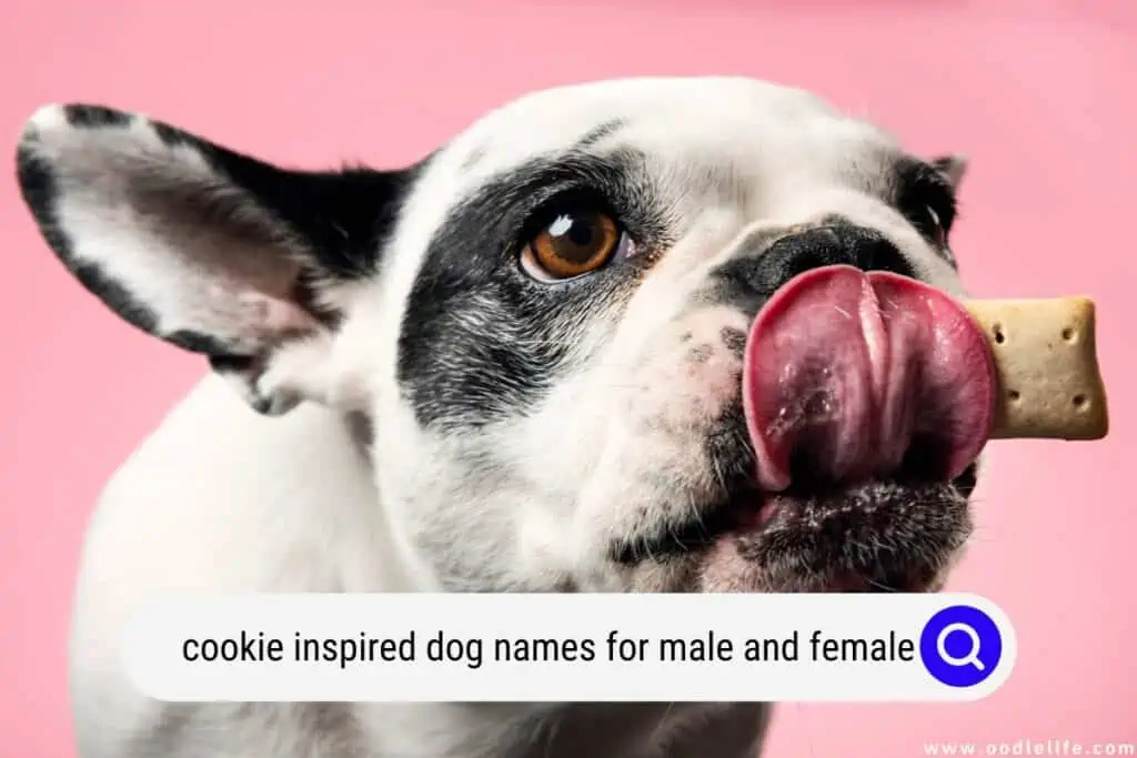 cookie inspired dog names