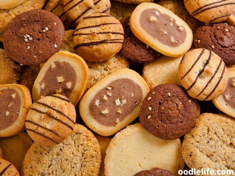 75-cookie-inspired-dog-names-male-and-female-oodle-life
