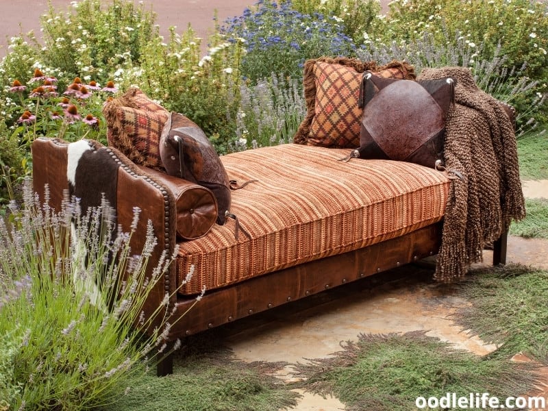 How Do I Get My Couch To Stop Smelling Like Dog