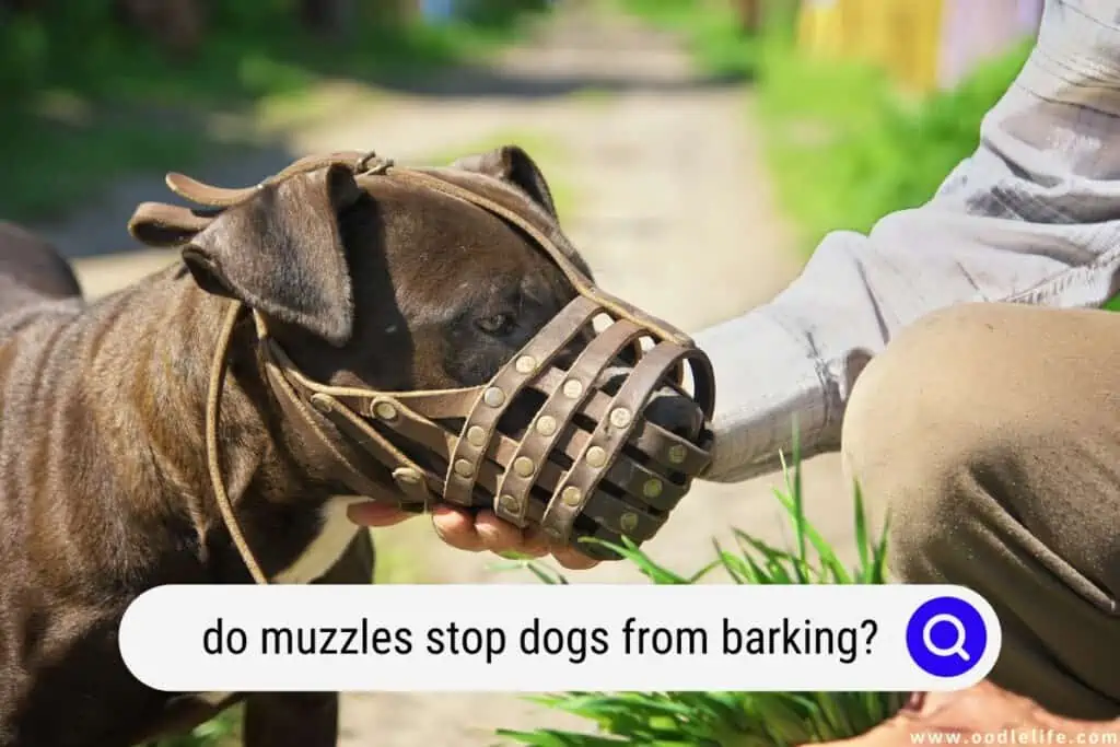 do muzzles stop dogs from barking