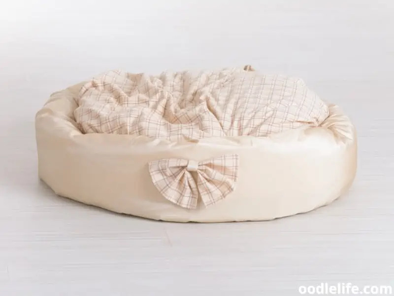 dog bed