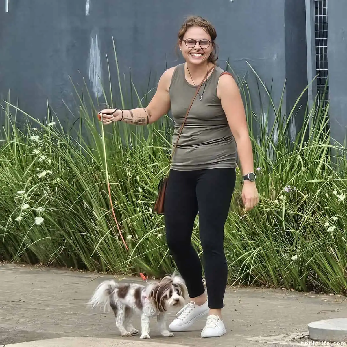 dog with jolly owner