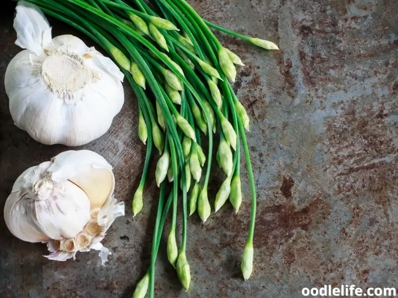 garlic and chives