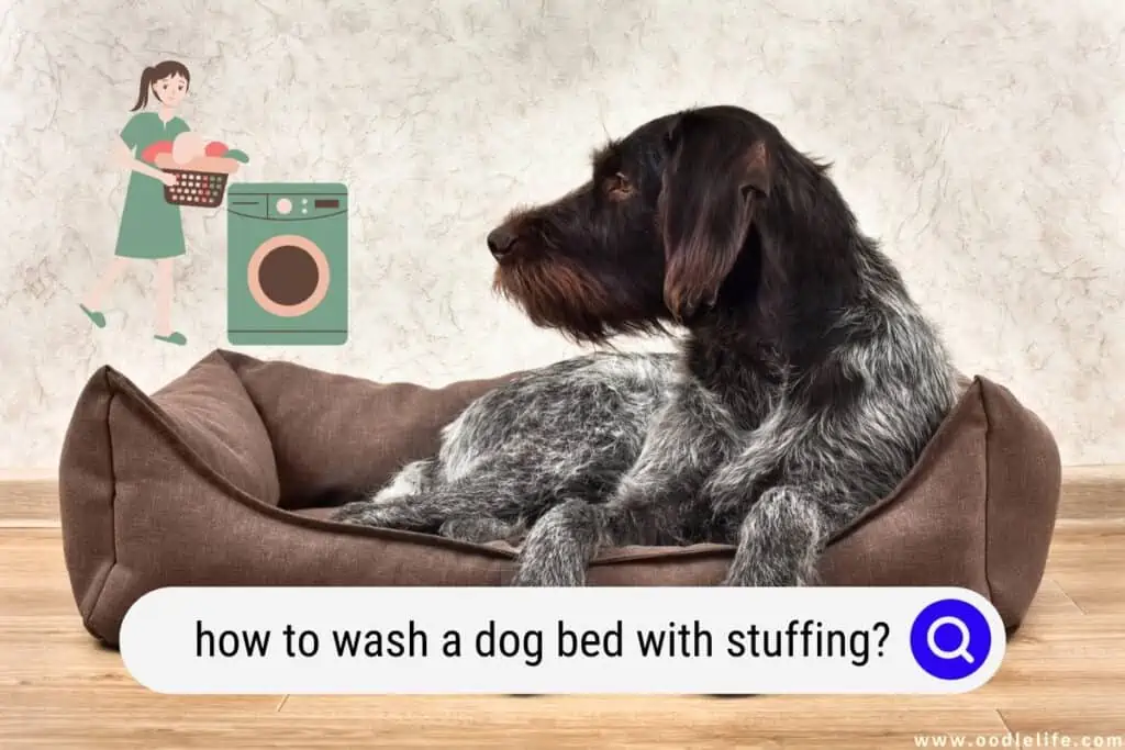 Washing dog bed sales stuffing