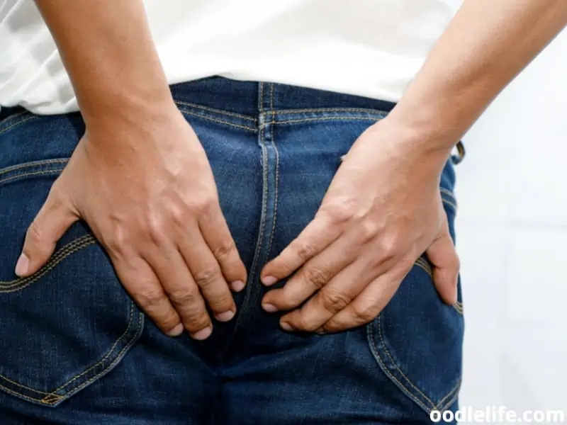 human holds butt