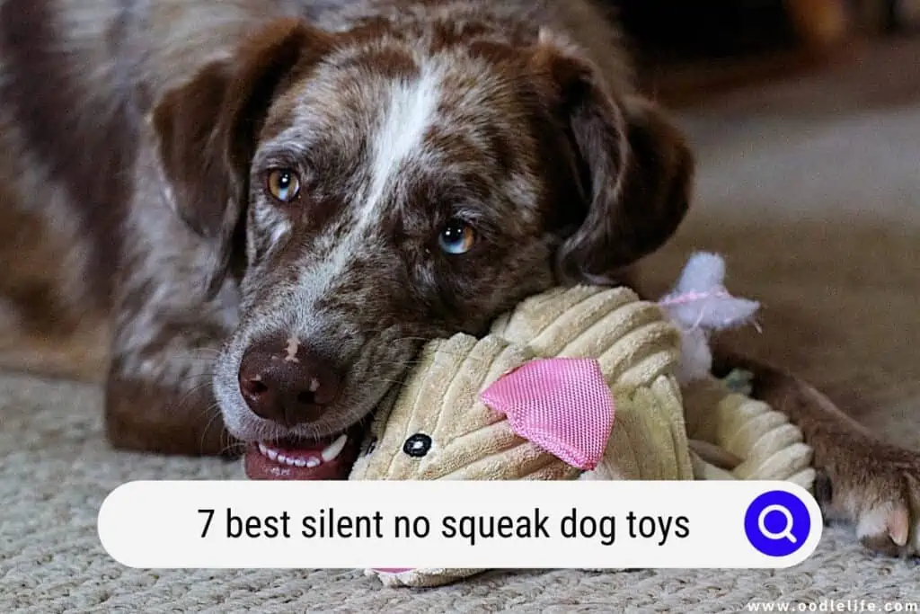 no squeak dog toys