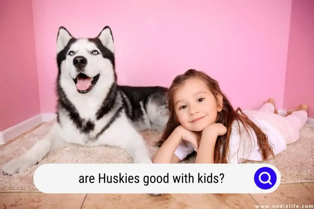are Huskies good with kids