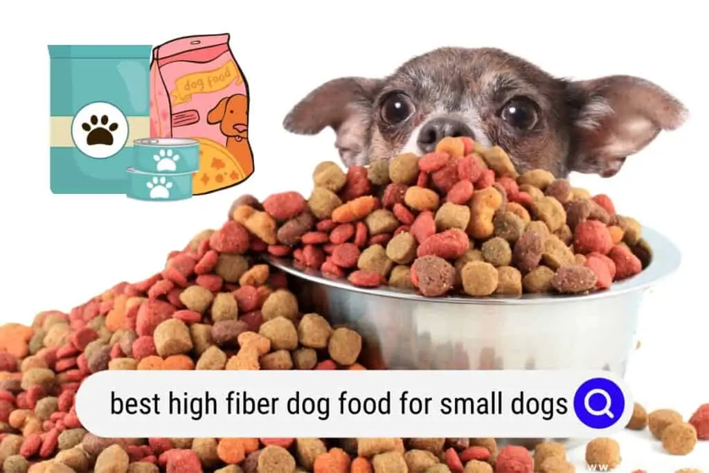 high fiber dog food for small dogs
