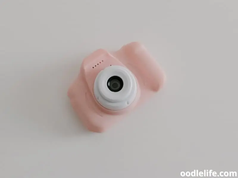 pink camera for dogs