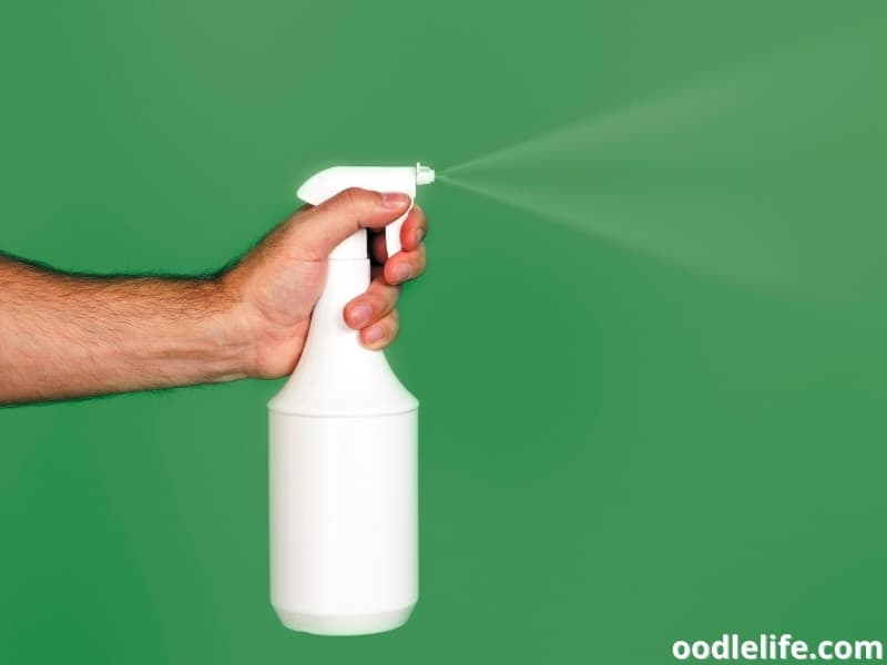 7 Best No Marking Sprays For Dogs (2022) Oodle Life