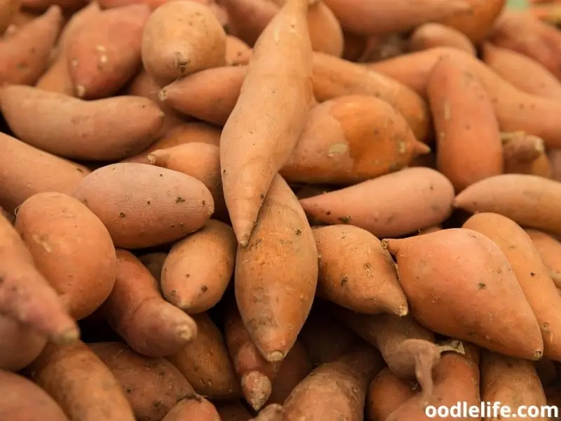 a bunch of sweet potatoes