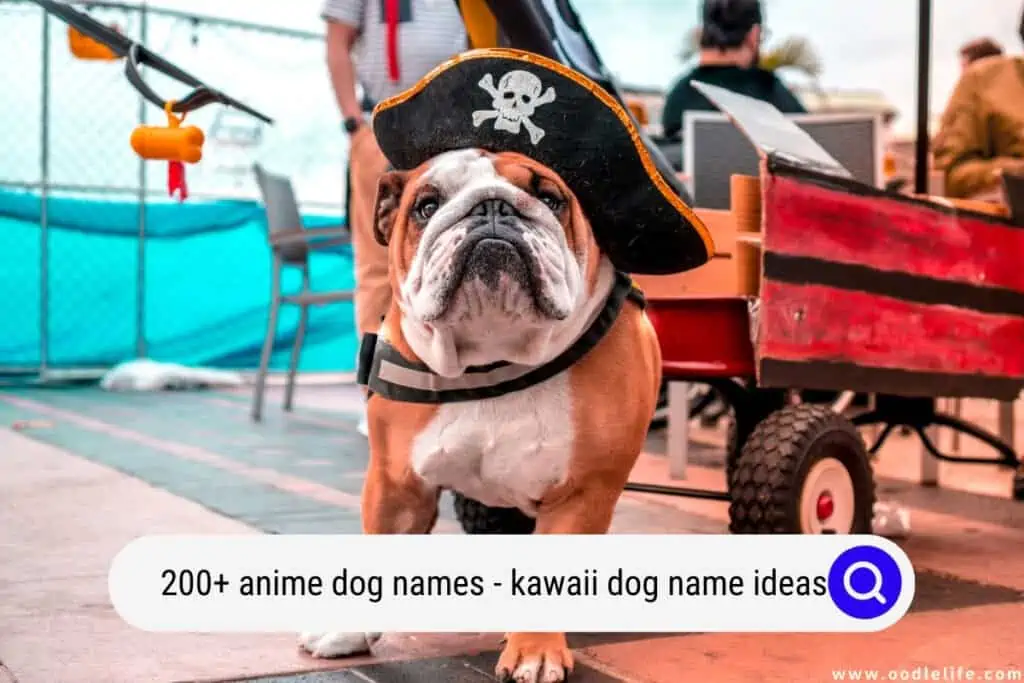 anime dog names