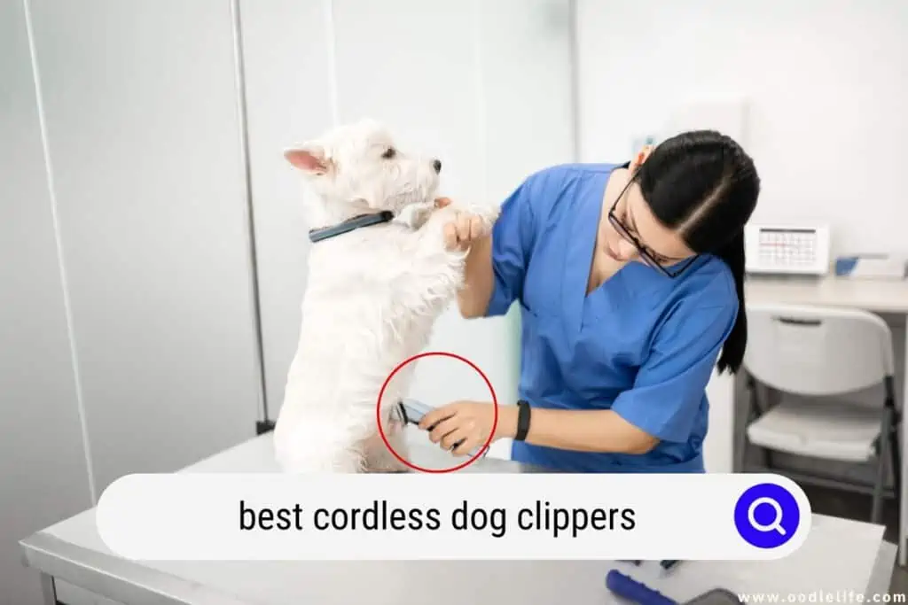 best cordless dog clippers