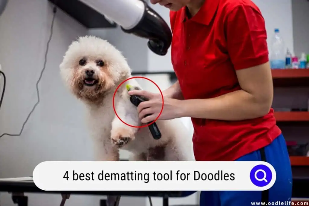 best dematting tool for Doodles