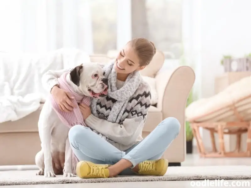 Boxer and owner's scarfs