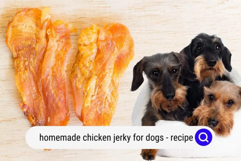 Homemade Chicken Jerky for Dogs (Recipe + Photos)