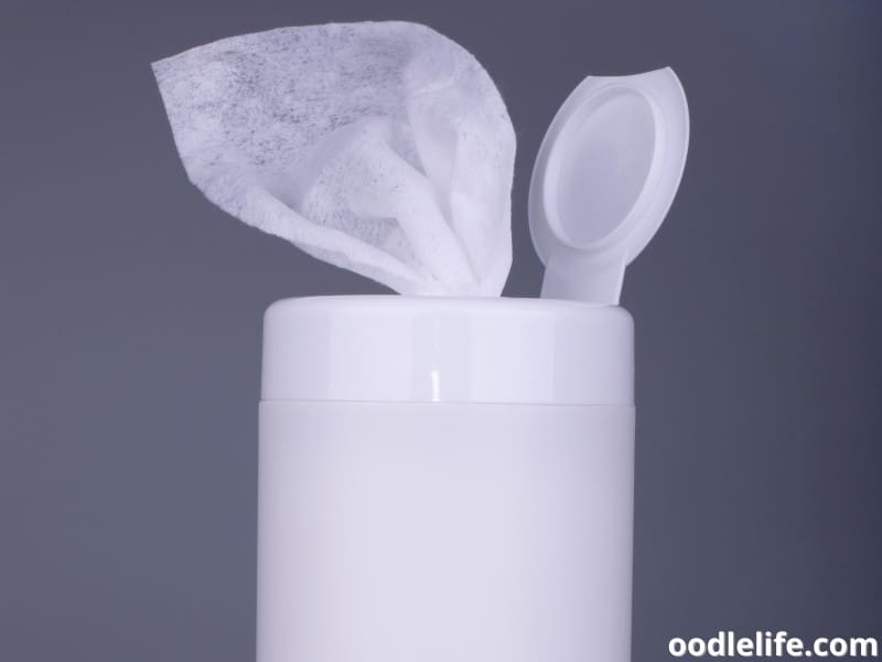 Are Dogs Allowed In Lyft