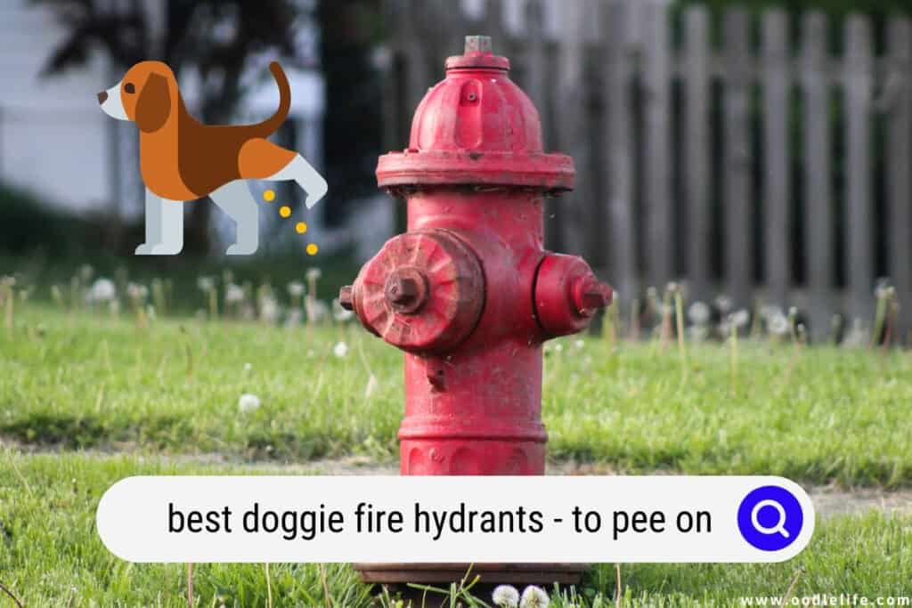 doggie fire hydrants