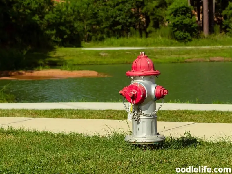 fire hydrant and pond