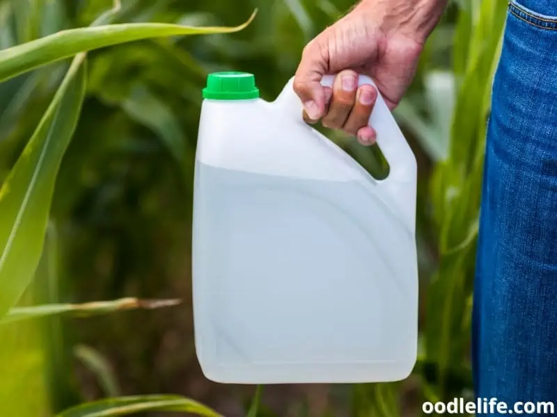 gallon of tick spray