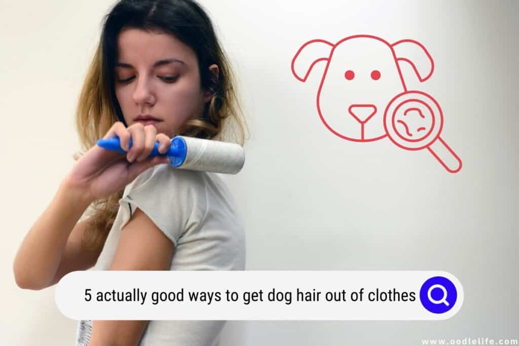 good ways to get dog hair out of clothes