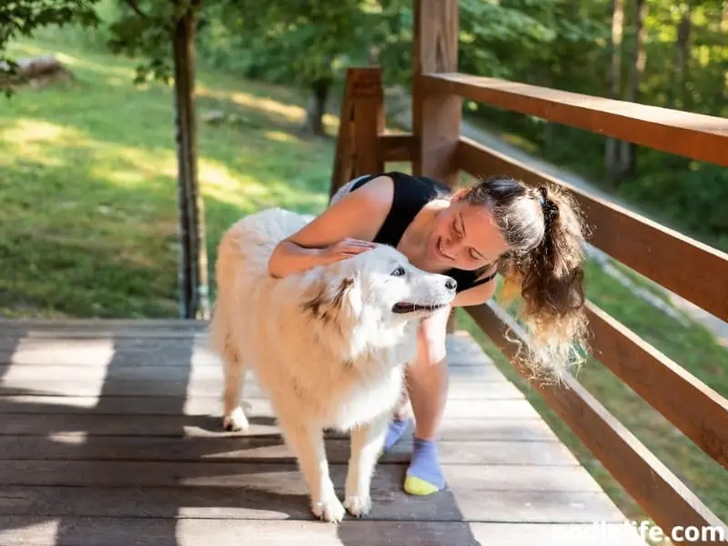 Great Pyrenees and owner