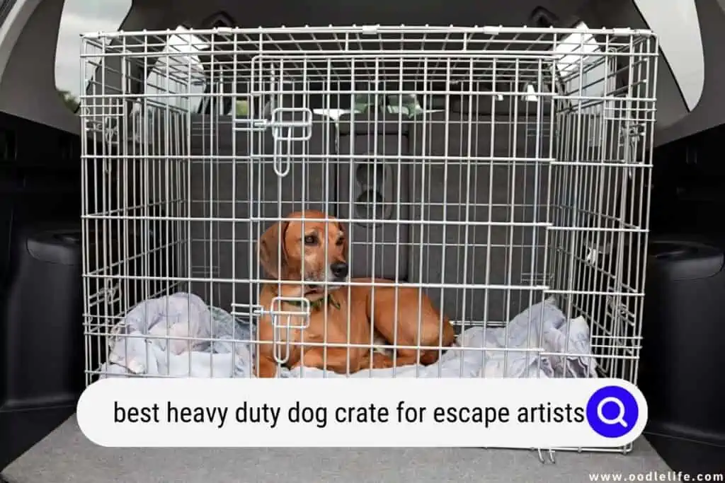 heavy duty dog crate