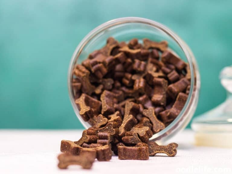 Smelly Safe Liver Treats For Dogs [DIY Recipes + Budget] Oodle Life