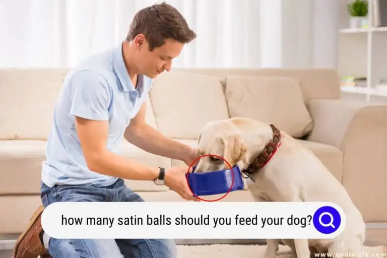 How Many Satin Balls Should You Feed Your Dog?