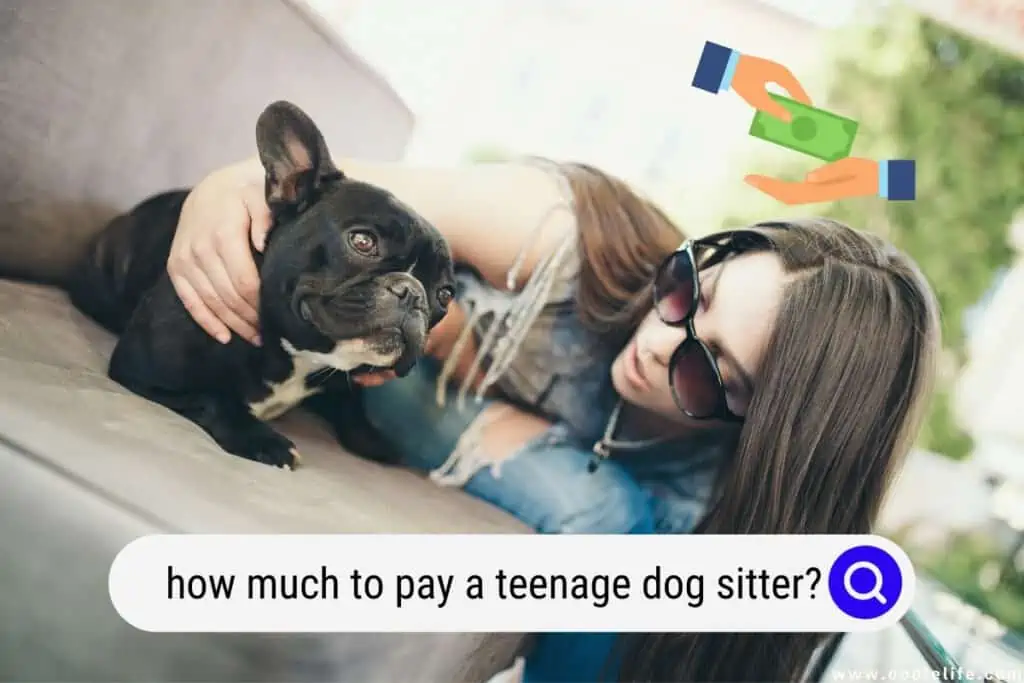 how much to pay a teenage dog sitter