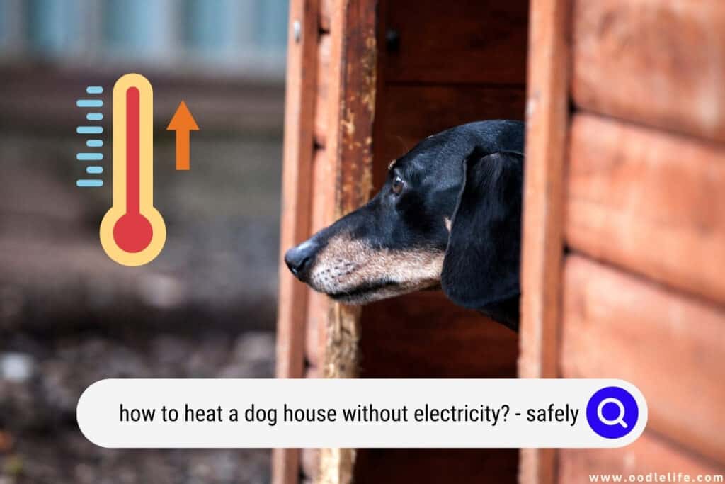 how to heat a dog house without electricity
